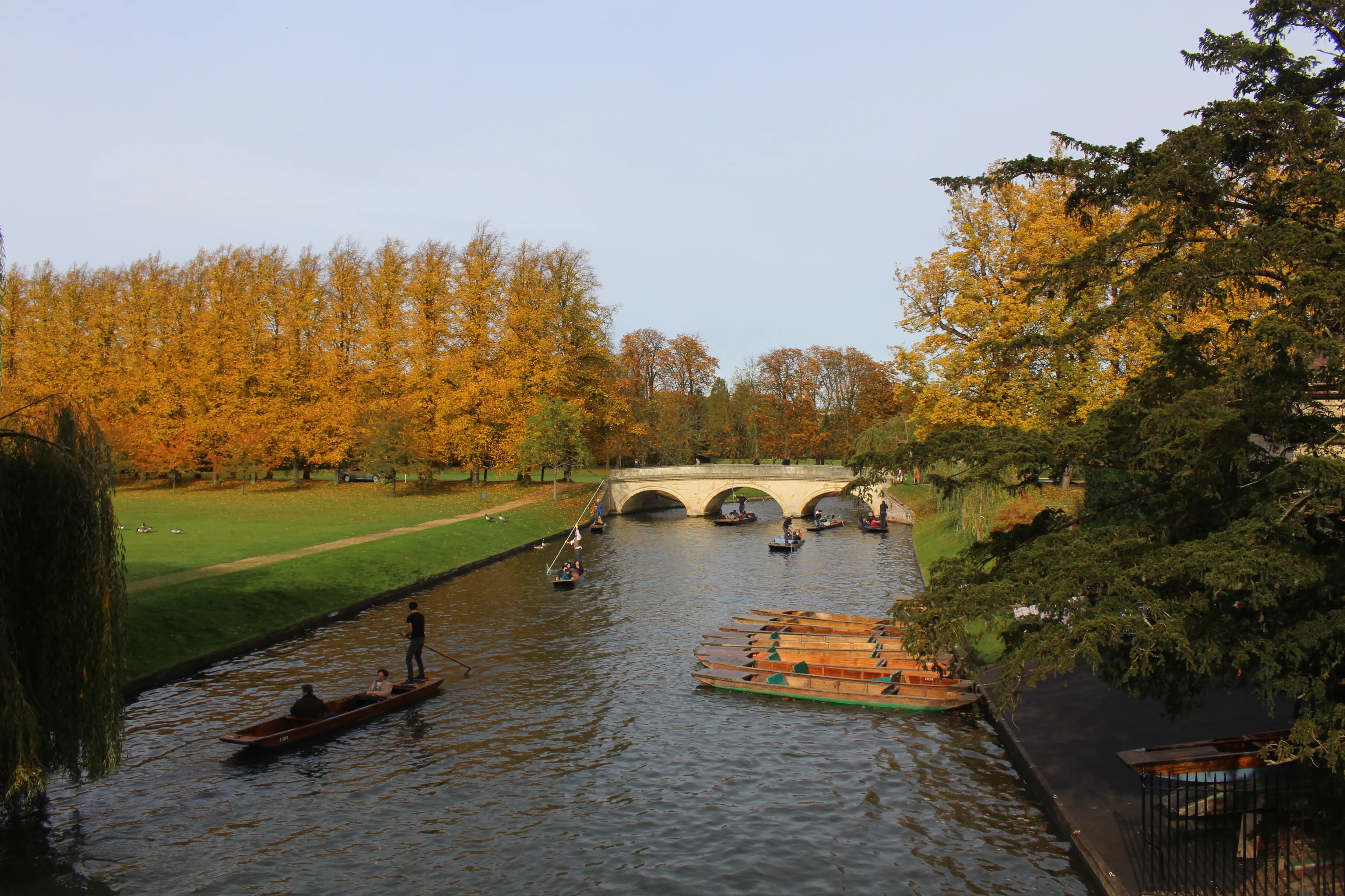 Students punting on River Cam in Cambridge during autumn with golden trees and historic bridge - English language school trip