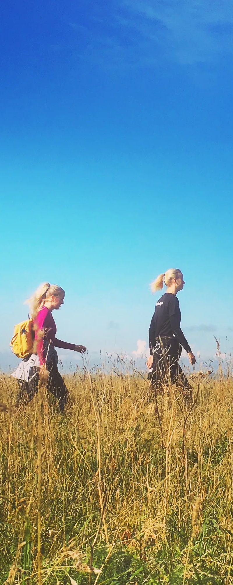 Students exploring the beautiful Brighton countryside