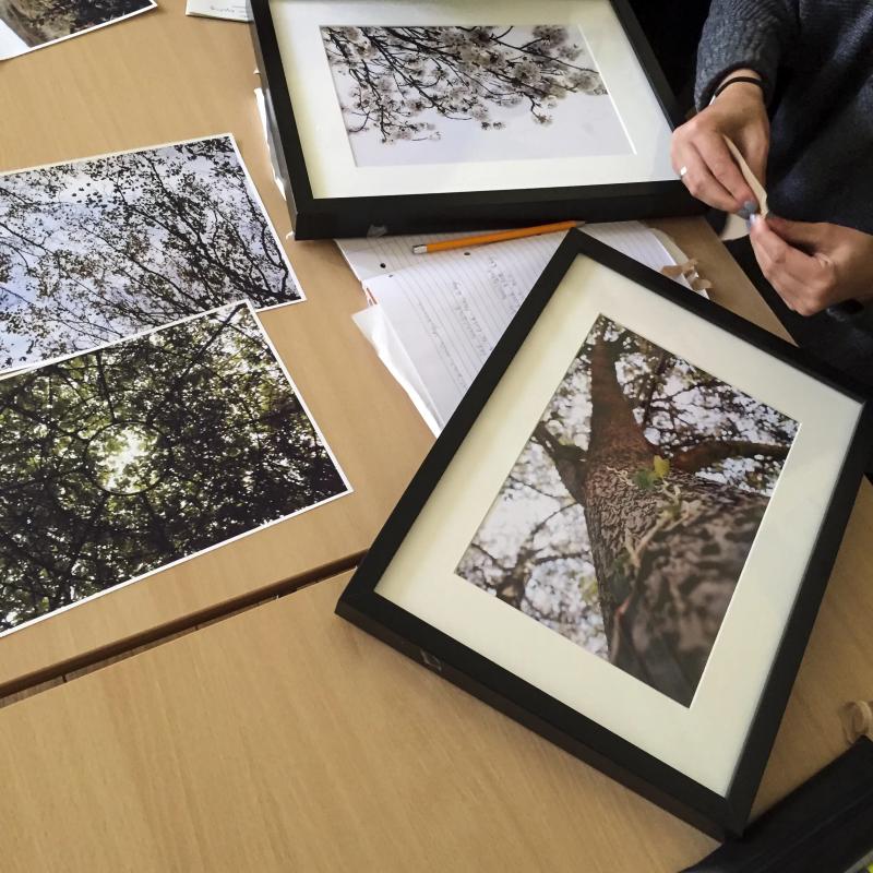 Student reviewing framed photography artwork during creative English course at Loxdale Brighton language school
