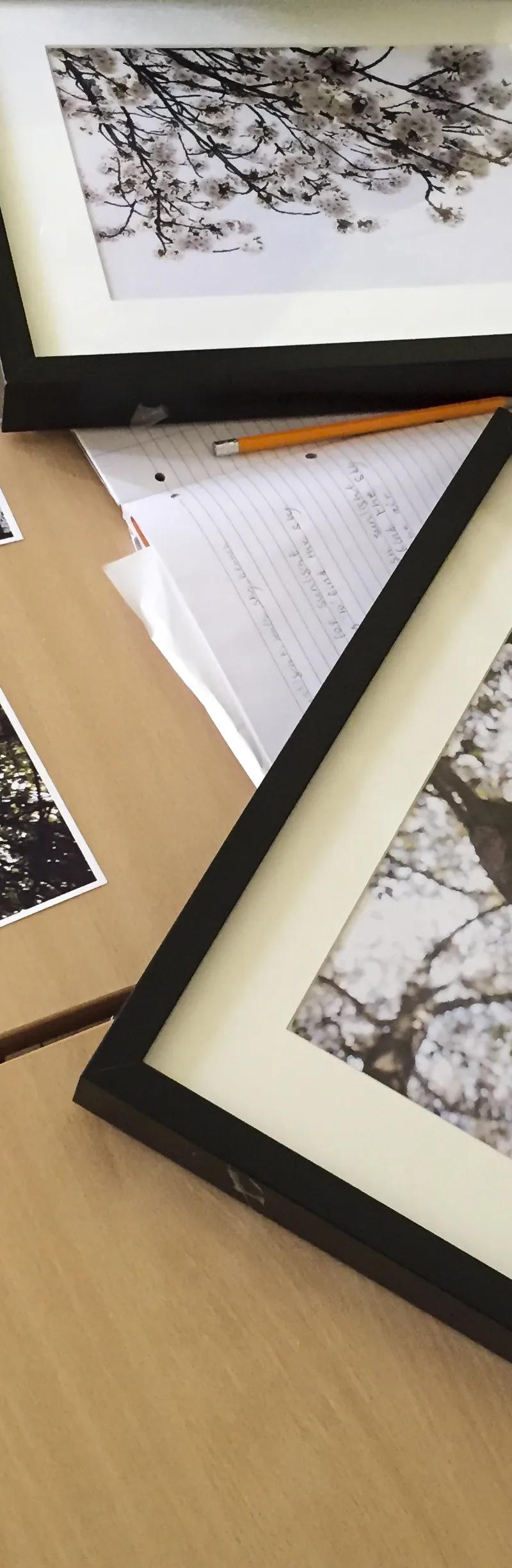 Student reviewing framed photography artwork during creative English course at Loxdale Brighton language school