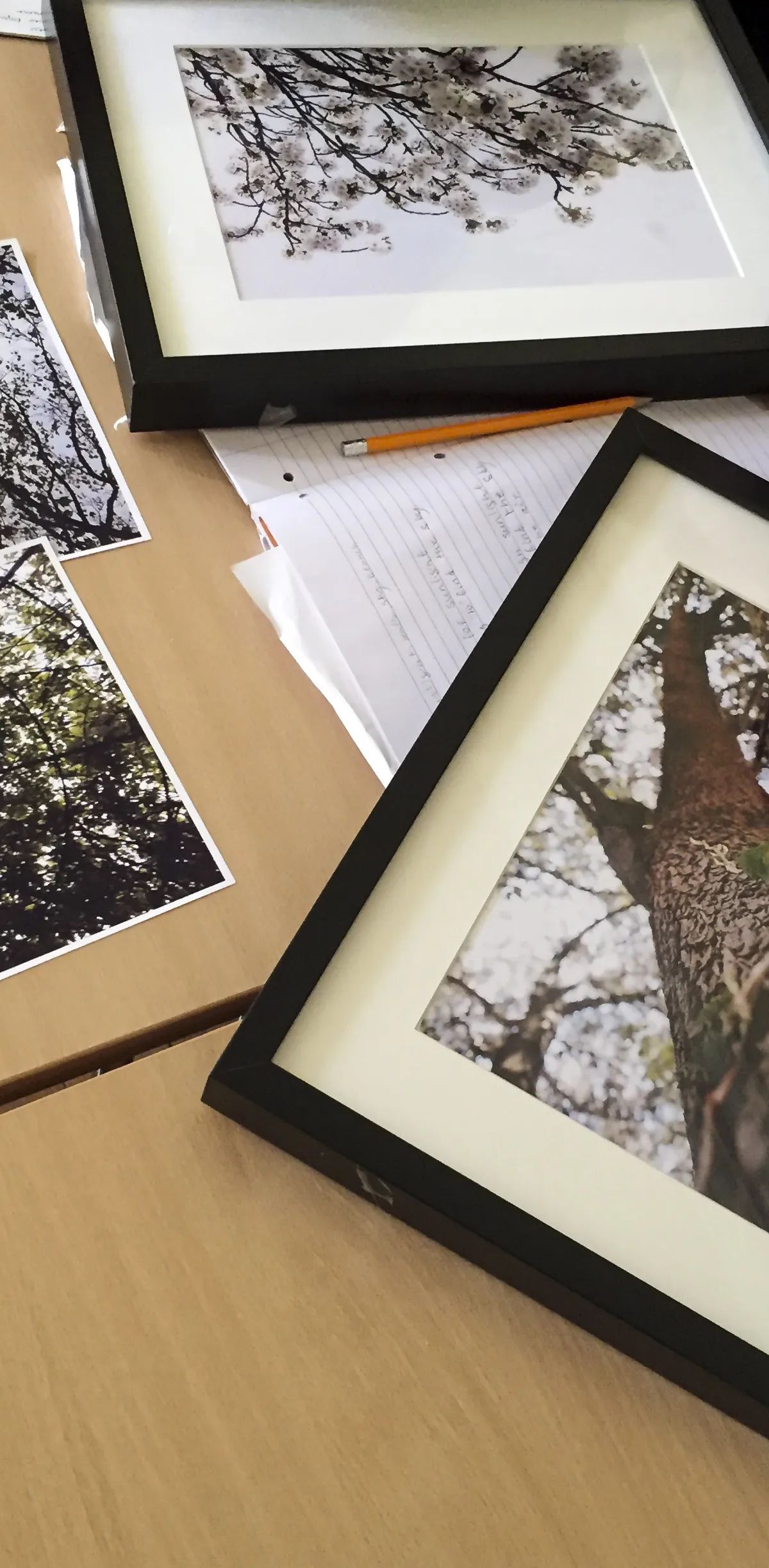 English Plus course Brighton - student reviewing artwork during creative English programme at Loxdale