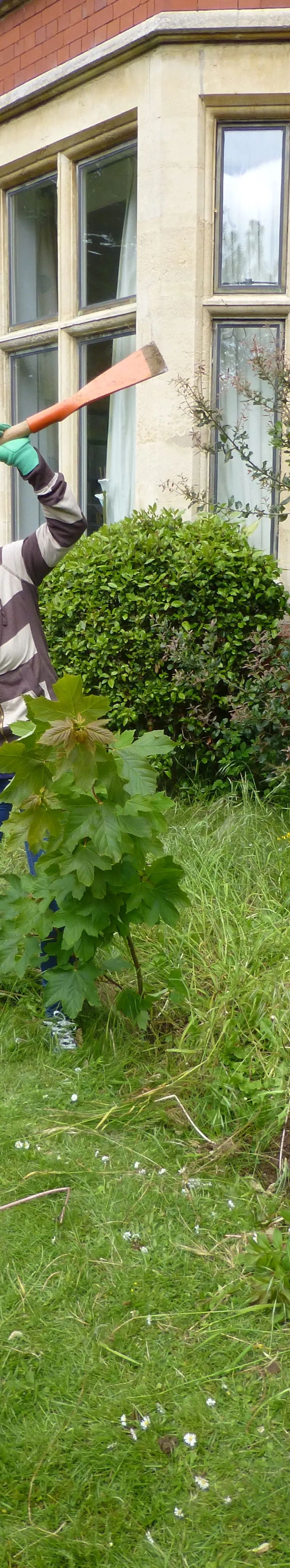 Students gardening during the English with Health and Wellbeing course at Loxdale Brighton